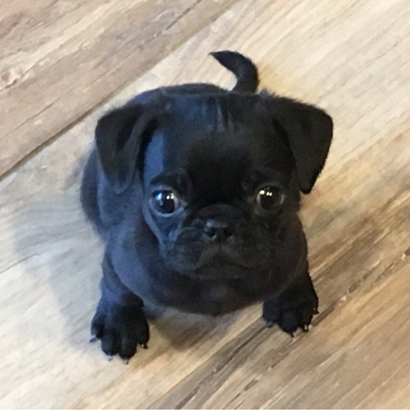 Meet your Posher, Kate - Picture 3 of 9